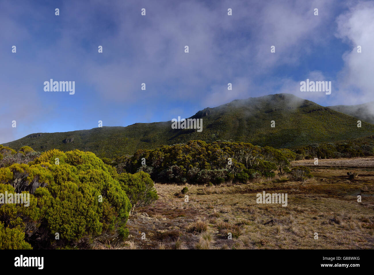trekking from La Plaine des Cafres to the Gite de la Caverne Dufour at