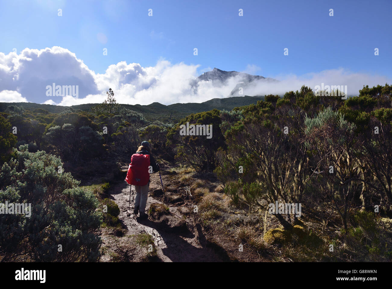 trekking from La Plaine des Cafres to the Gite de la Caverne Dufour at Piton du Neige, La