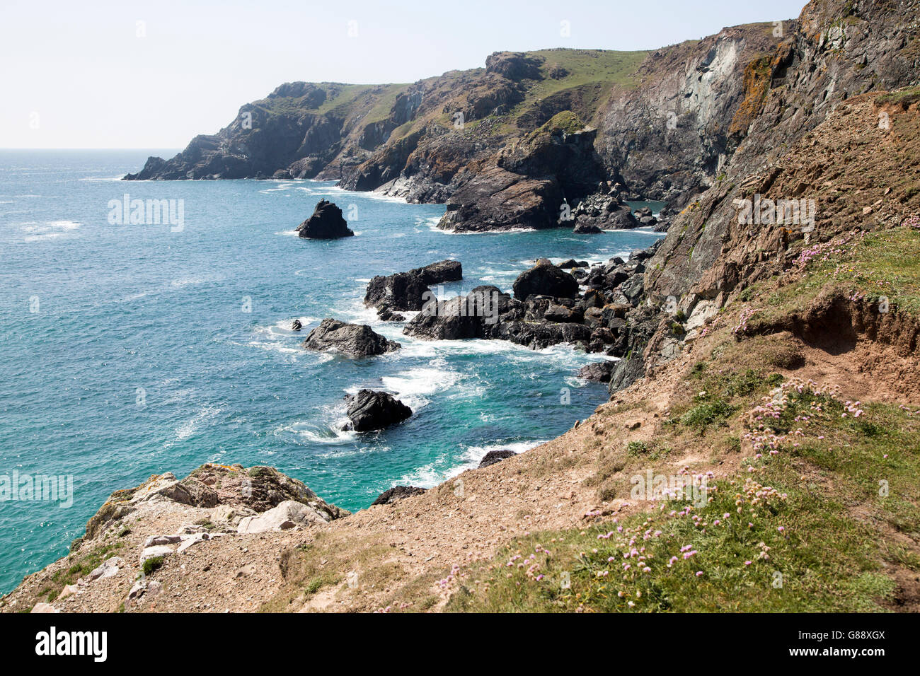 Coastal scenery, Kynance Cliff and Nantivet Rock stack, Lizard peninsula, Cornwall, England, UK Stock Photo