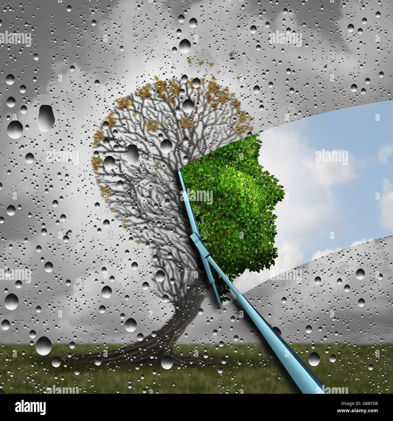 Reverse aging process and make young again medical concept or plastic surgery symbol as a wiper wiping away old decaying tree and revealing to a healthy green human head plant with leaves as a medical metaphor for renewal with 3D illustration elements. Stock Photo