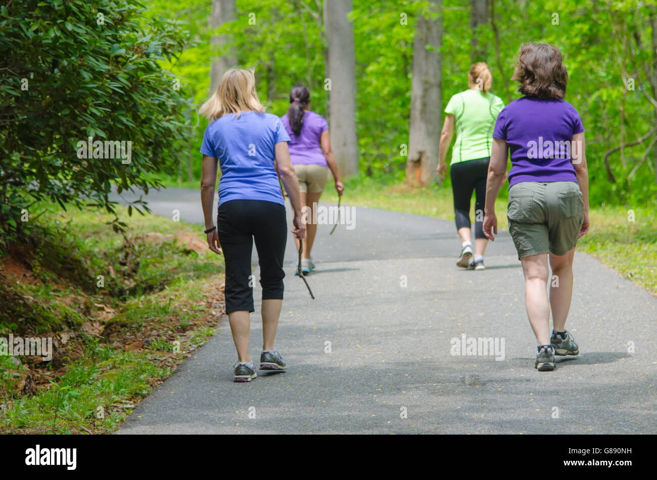 Pathway in the woods hi-res stock photography and images - Alamy