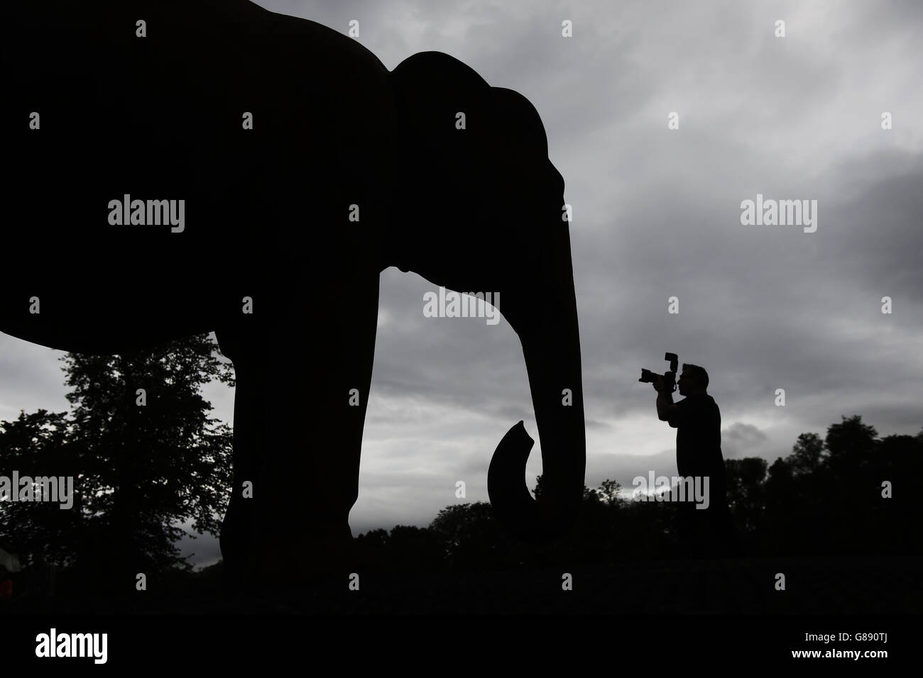 Standalone photo.A press photographer during the unveiling of a life-size Asian elephant, cast in part from scrap locomotive form the shipyards of Govan, at Bellahouston Park in Glasgow. Stock Photo