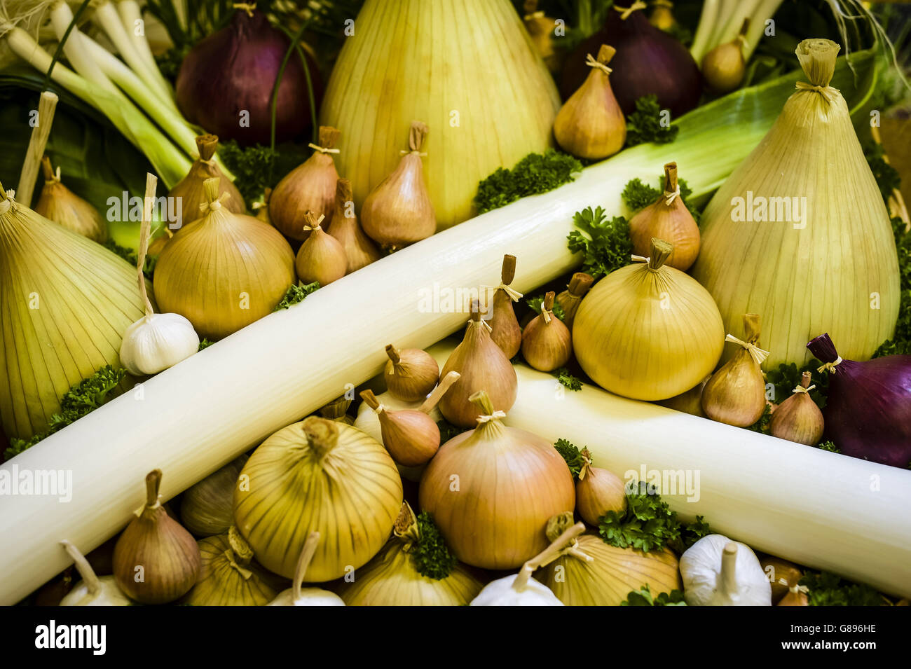 Garlic leeks on show in memorial hall newent onion fayre hires stock