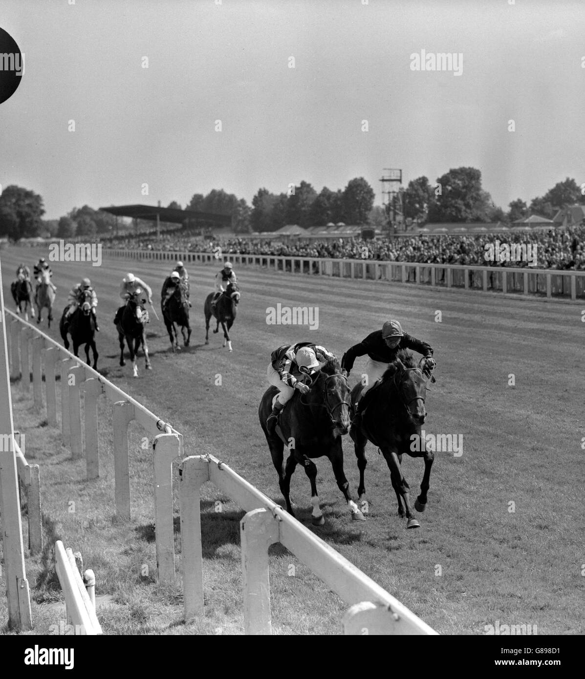 Mr H.J. Joel's Sandro, ridden by D. Keith (r) battles out the finish with Mrs David Montagu's M.I.5 (J. Lindley) in the Limelight Handicap at the Kempton Park meeting. In a photo finish, Sandro got the verdict by a short lead. Stock Photo