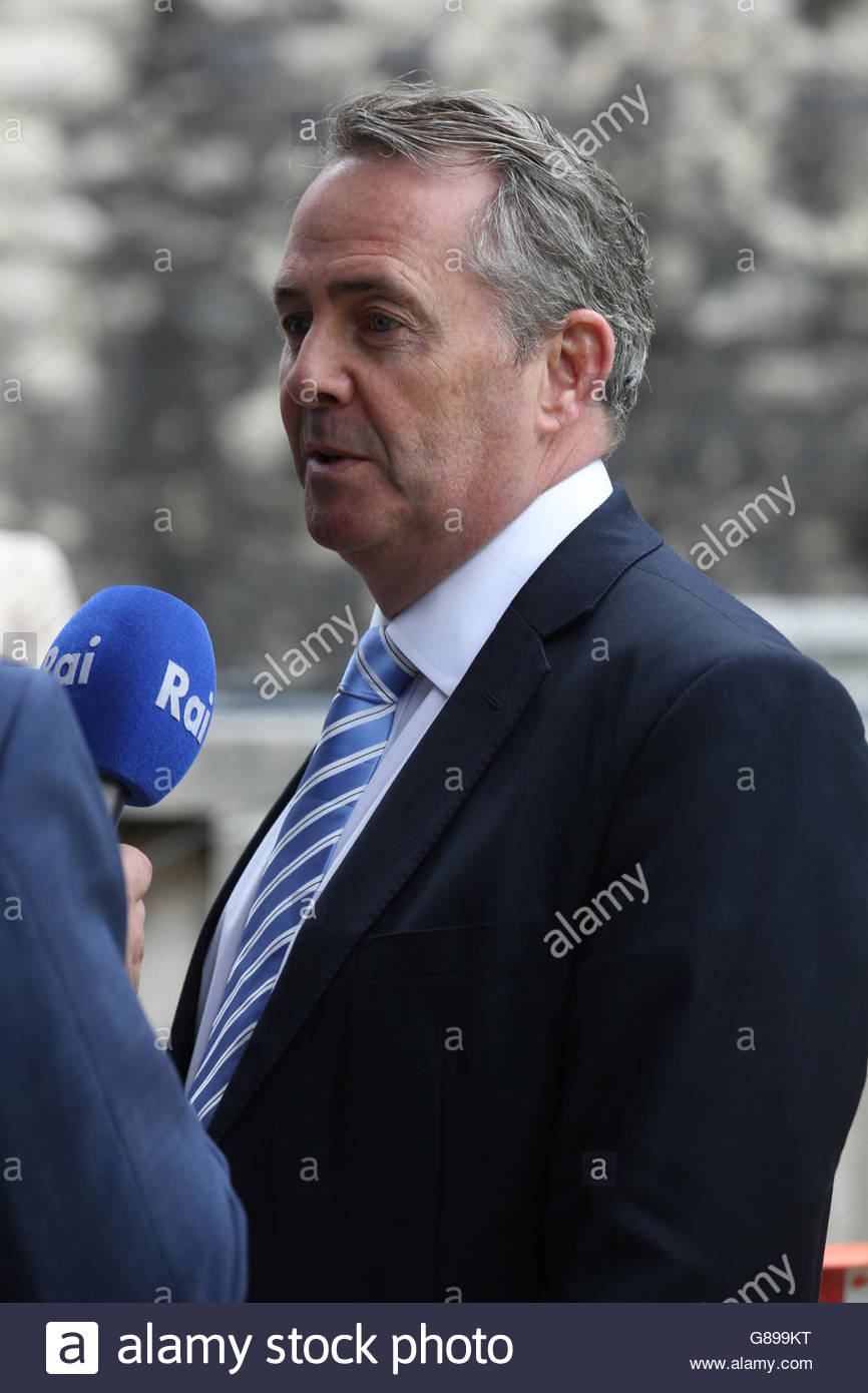 Photograph of Liam Fox, candidate for the leadership of the Tories taken Westminster on the day the Brexit result was announced. Stock Photo