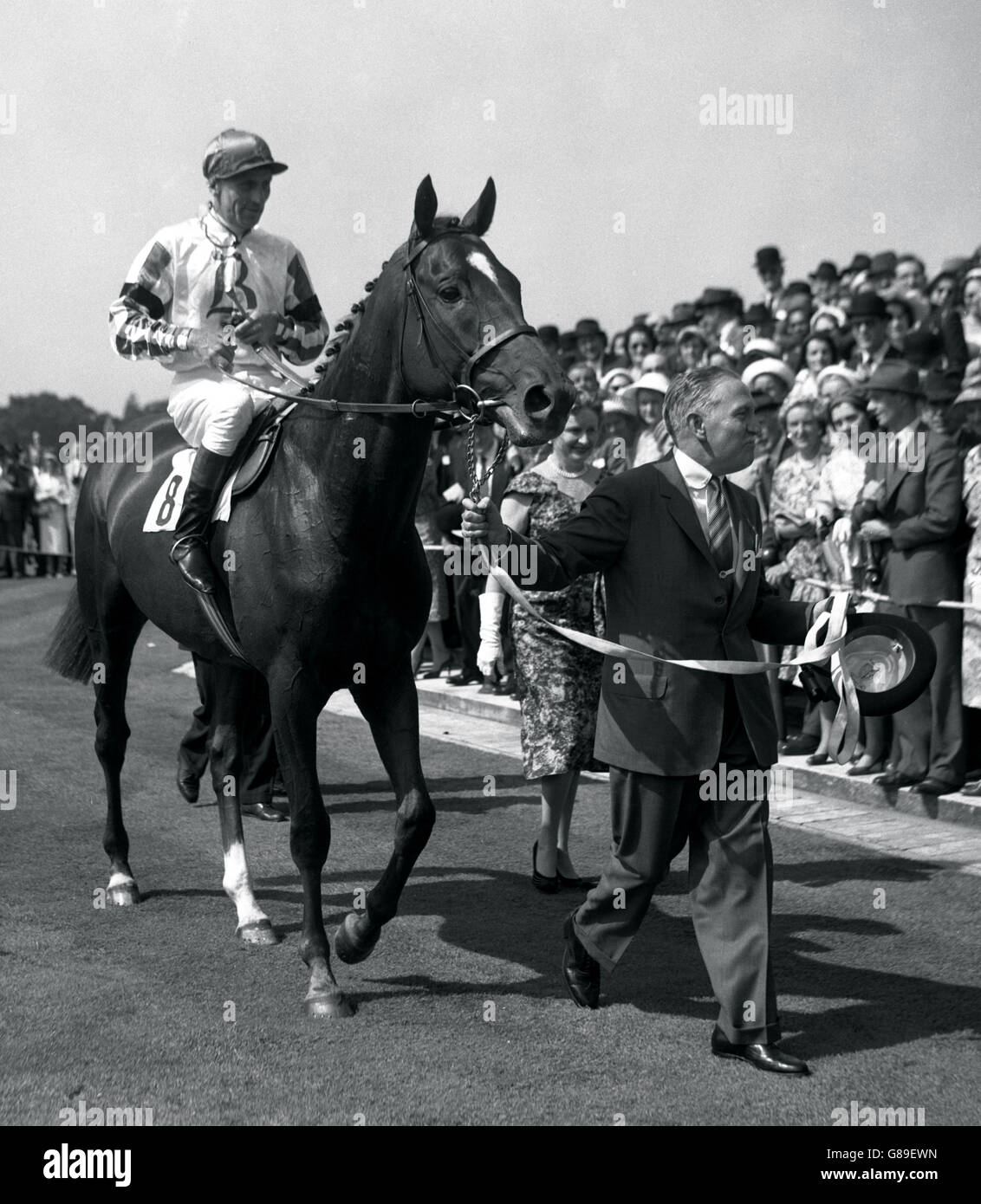 King VI and Queen Elizabeth Stakes Stock Photo Alamy