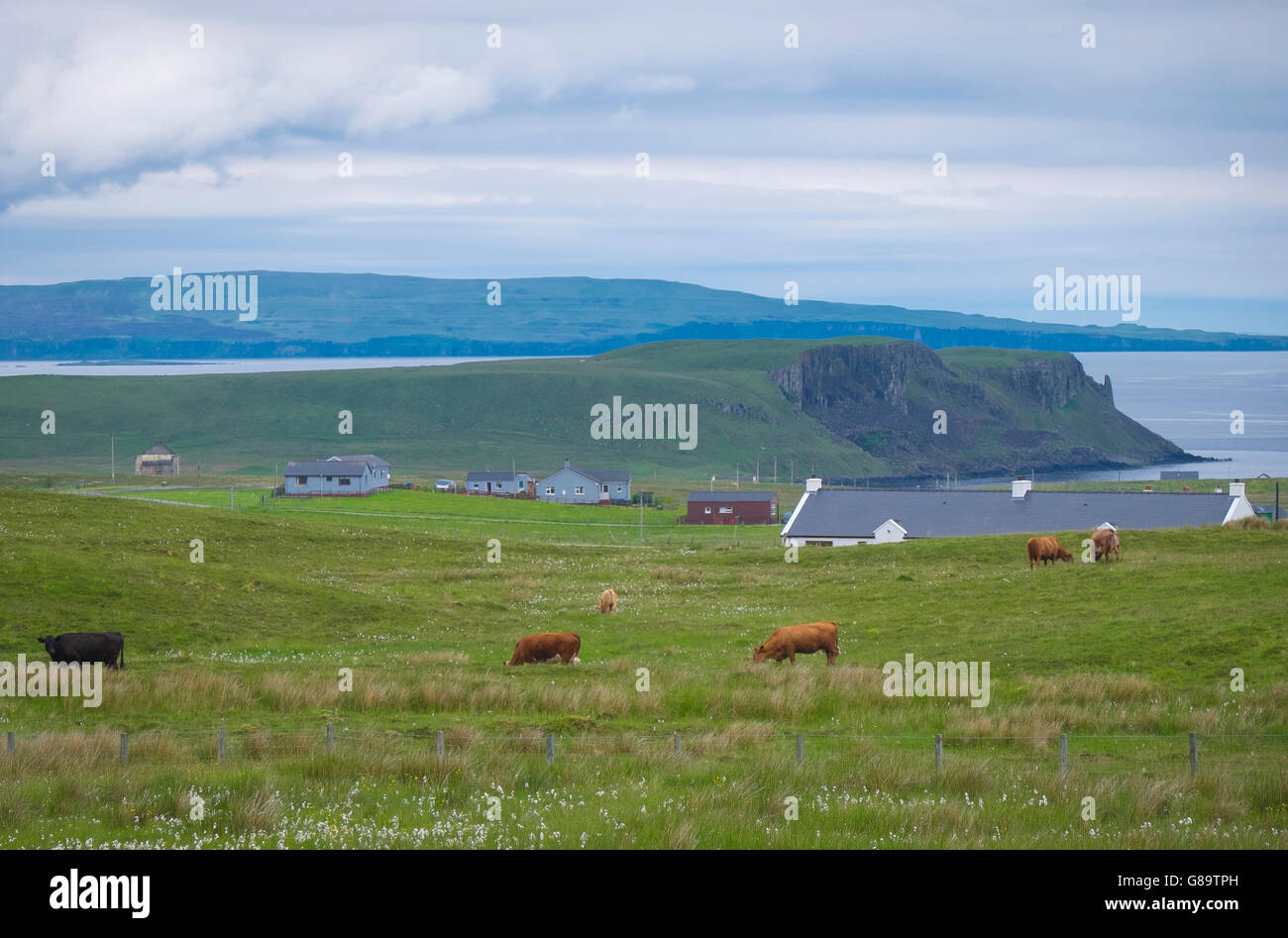 beautiful scene of isle of skye in scotland Stock Photo - Alamy