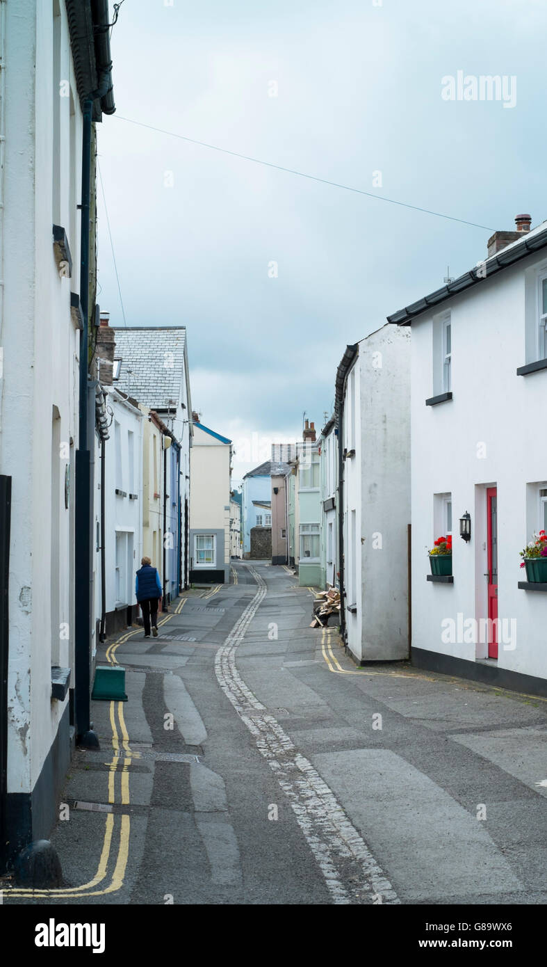Appledore, a seaside village in North Devon England UK Cottages Stock