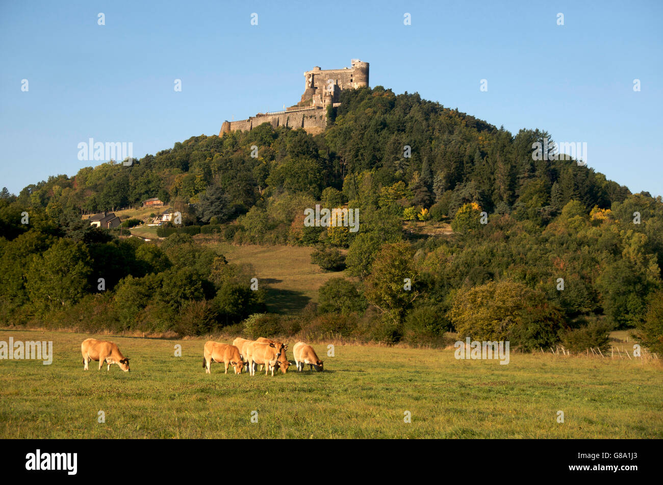 Castle of Murol, Auvergne, Puy-de-Dome, France, Europe Stock Photo