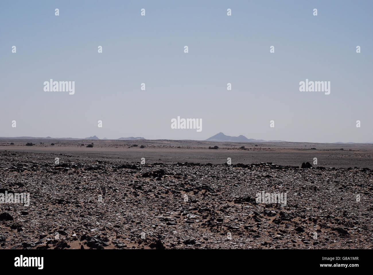 desert, Algeria, empty, rocks, stones, plain, blue sky, copy space, isolated, barren, dry, yellow Stock Photo
