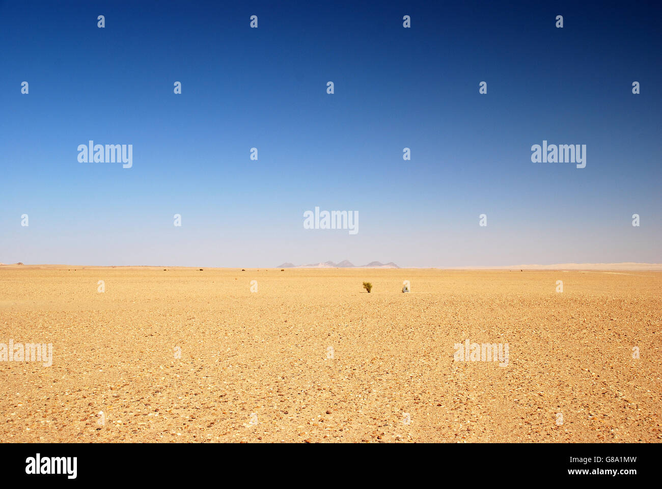 desert, Algeria, empty, rocks, stones, plain yellow Stock Photo