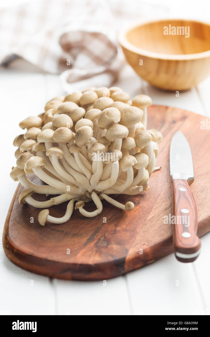 Healthy mushroom hires stock photography and images Alamy
