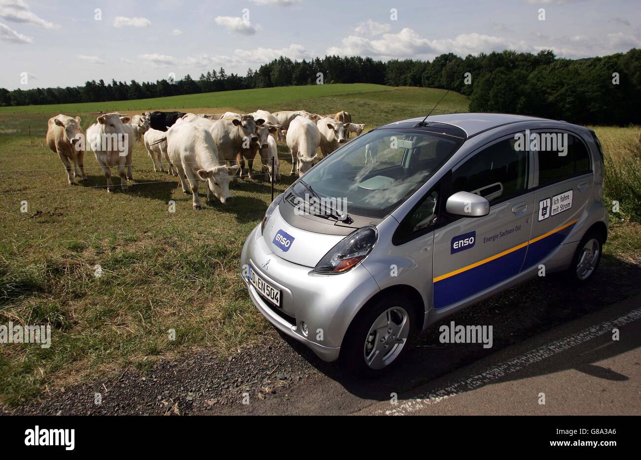 Cattle watching an electric car of Enso, Energie Sachsen Ost AG, during a  test drive, Freital, Saxony Stock Photo - Alamy