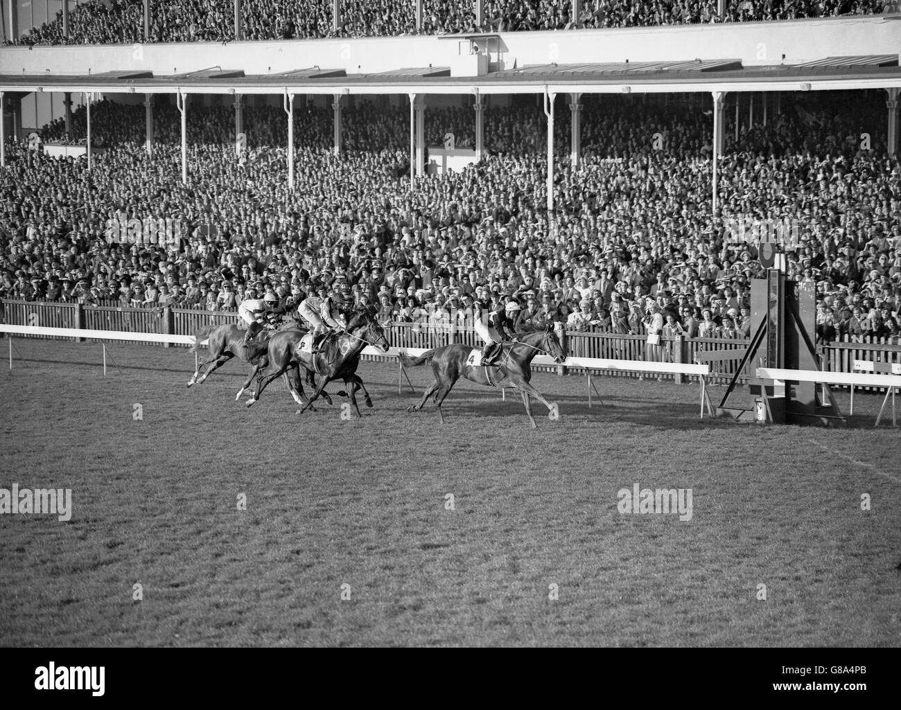 Horse Racing The Champion Stakes Newmarket Stock Photo Alamy