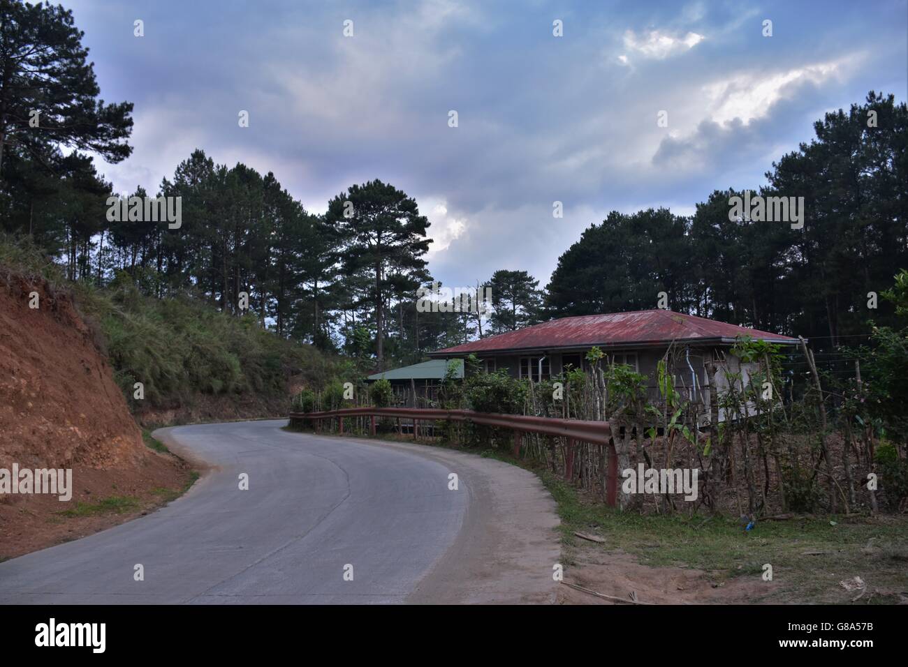 House in the forest Stock Photo - Alamy