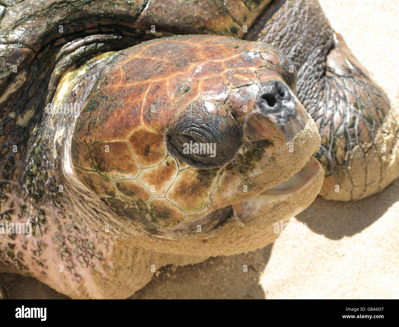 Horizontal format square format hi-res stock photography and images - Alamy