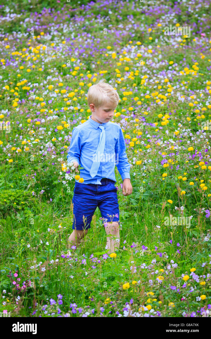 Boy walking in a meadow filled with different coloured flowers, holding a bunch in his hand. Wearing formal clothes, necktie. Stock Photo