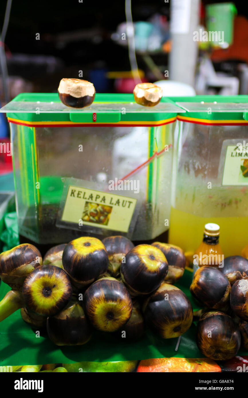 Sea coconut hi-res stock photography and images - Alamy, image size:866x1390