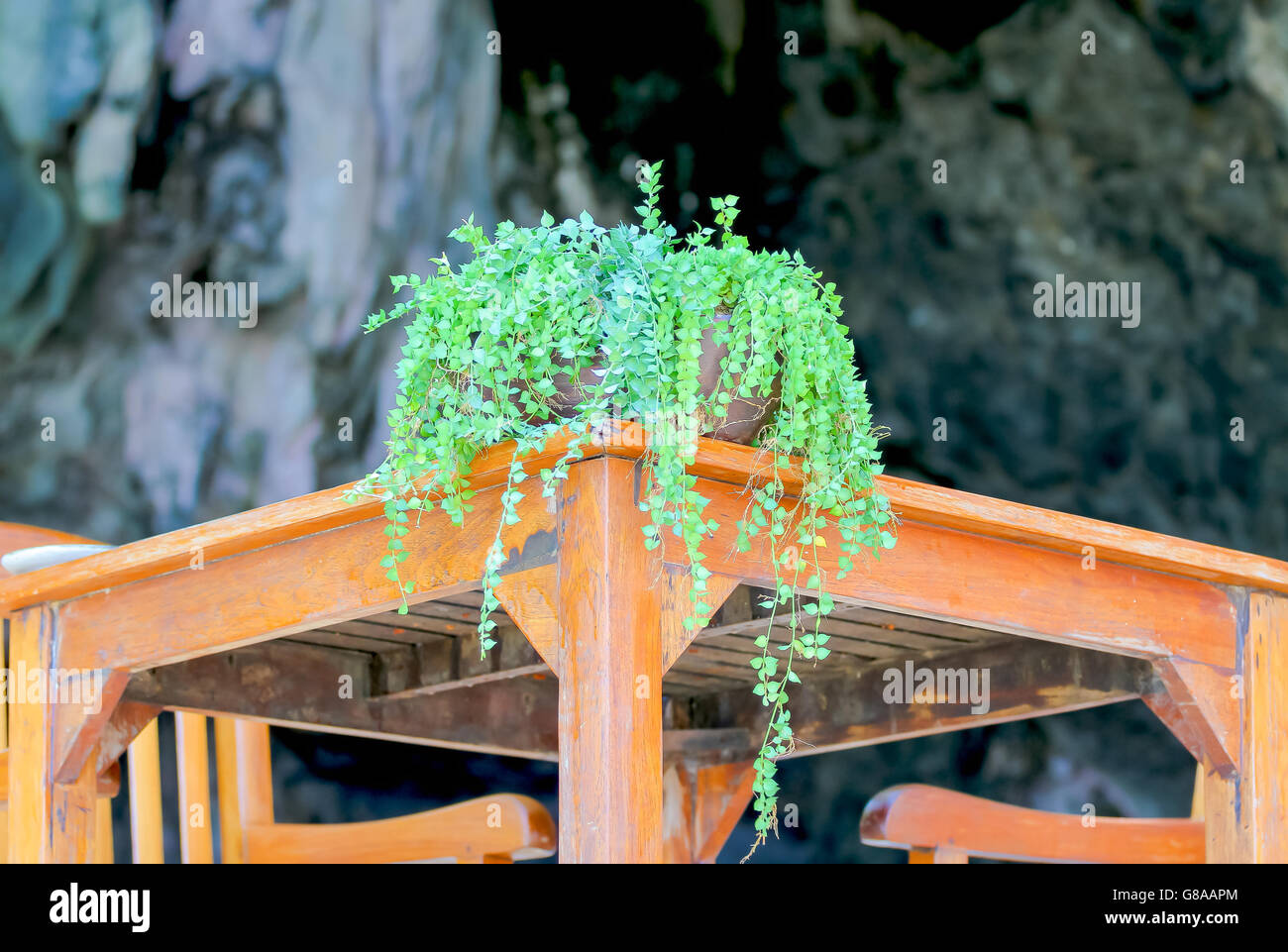 Beautiful foliage in the vase on a wooden table. Stock Photo