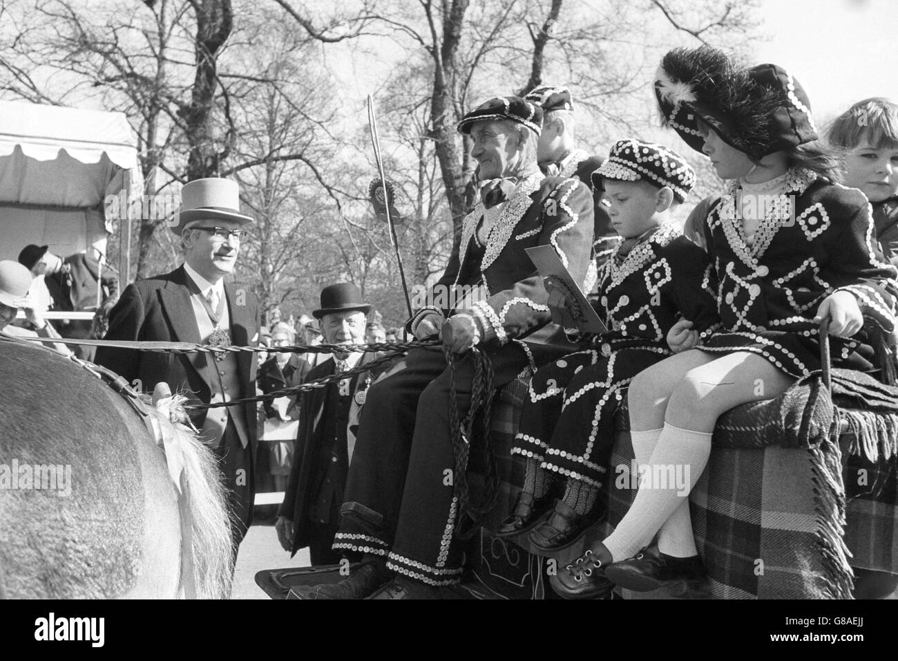 London Harness Horse Parade Regent's Park Stock Photo Alamy