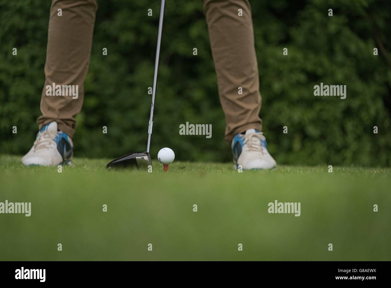 golf player with racket at the tee, ready to tee off | usage worldwide ...