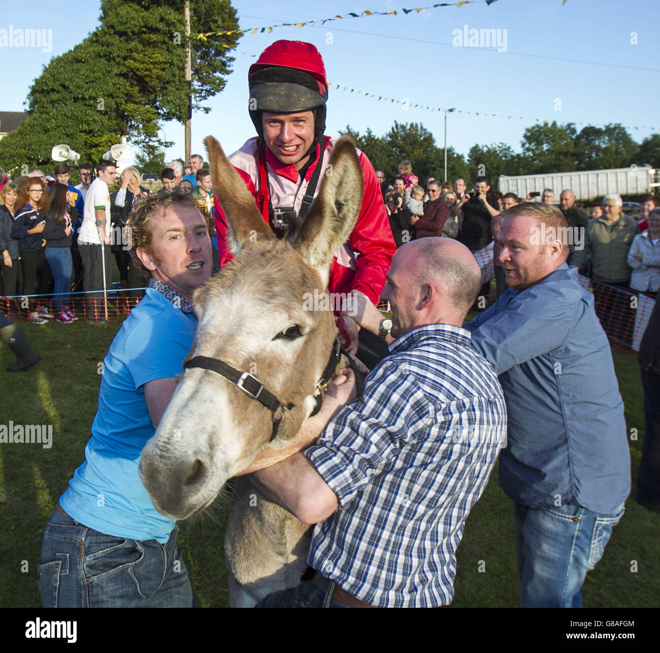 Moneyglass donkey derby Stock Photo Alamy