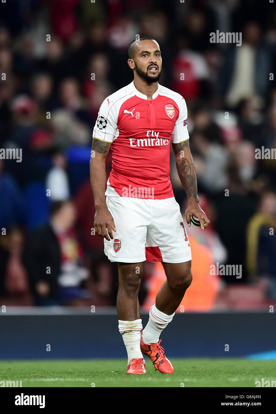 Arsenals theo walcott during the uefa champions league hi-res stock