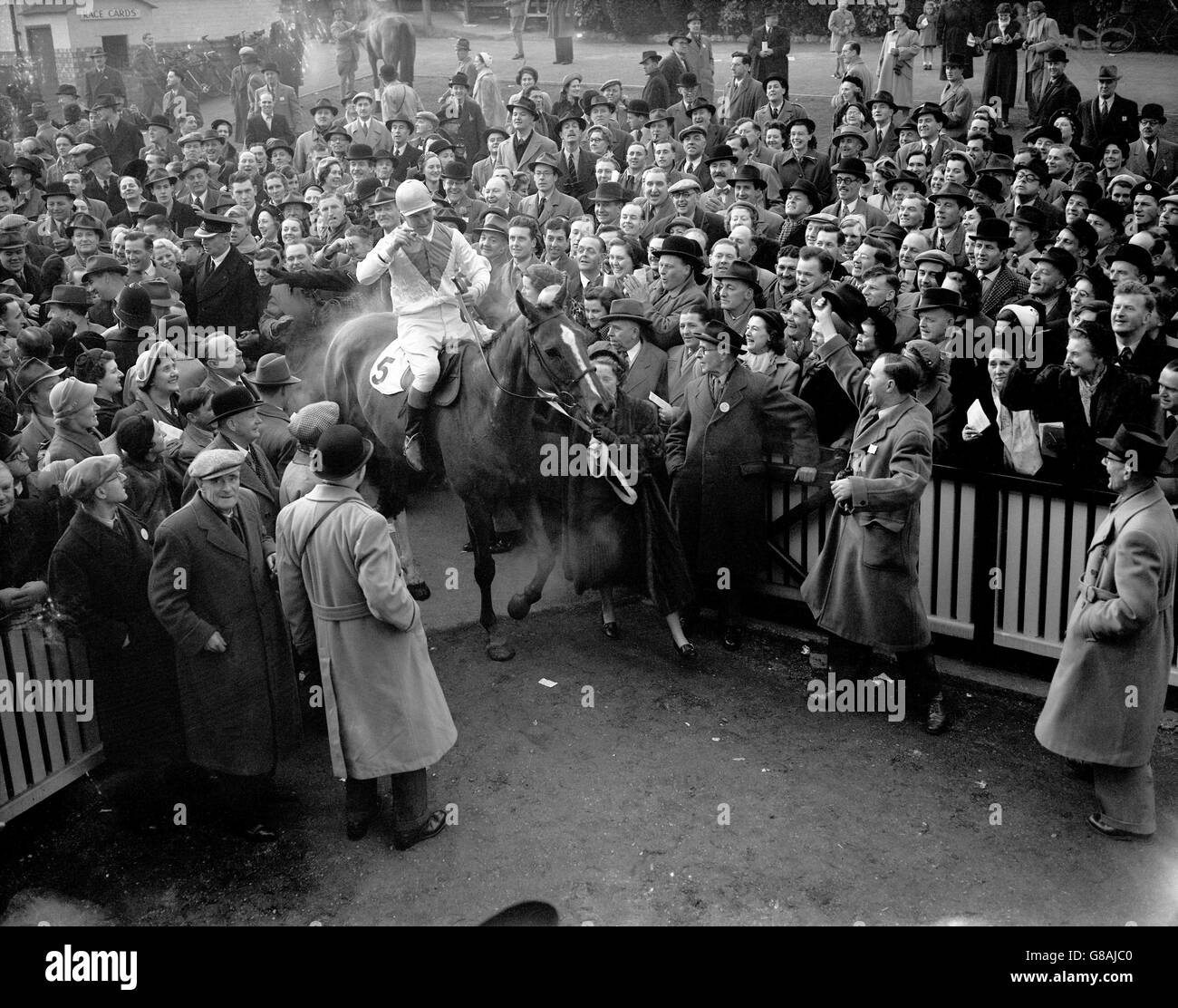 Cheltenham gold cup enclosure Black and White Stock Photos & Images - Alamy