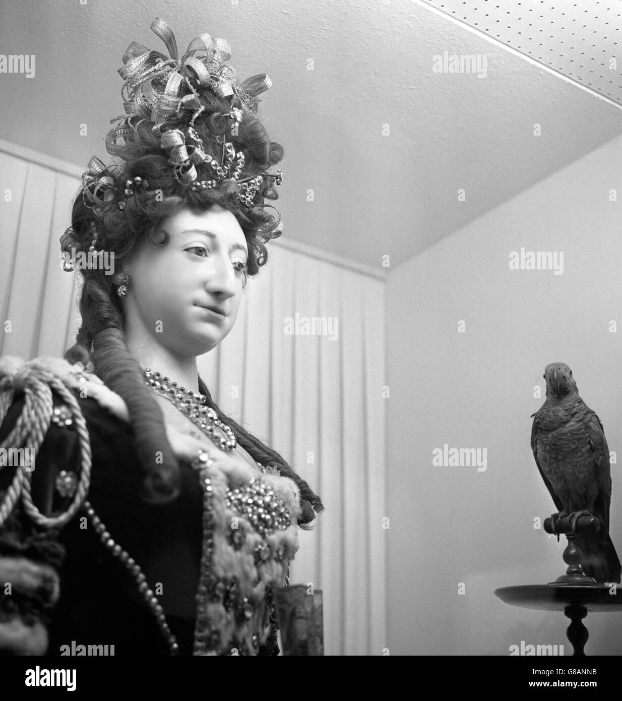 Clothes worn by Frances, Duchess of Richmond and Lennox, with her actual parrot, are pictured on show in 'The Abbey Treasures' exhibition at Westminster Abbey. The parrot is said to have died two days after the Duchess died and was then stuffed. The exhibition is in connection with the Abbey's 900th anniversary. Stock Photo
