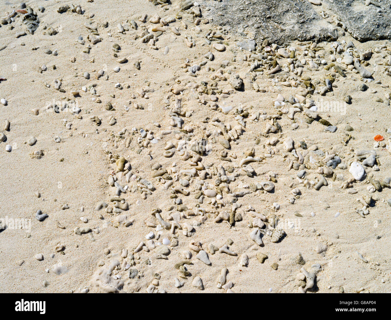 Weathered coral on the beach, Lady Musgrave Island, QLD, Australia Stock Photo
