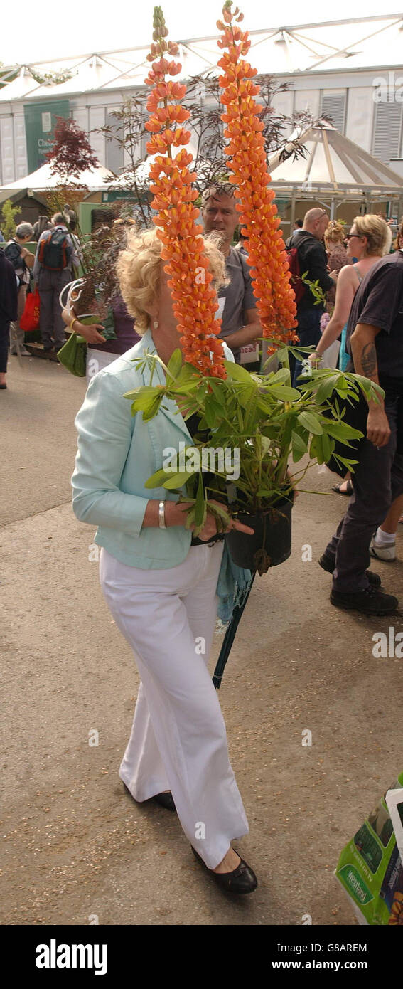 Chelsea Flower Show 2005 Stock Photo Alamy
