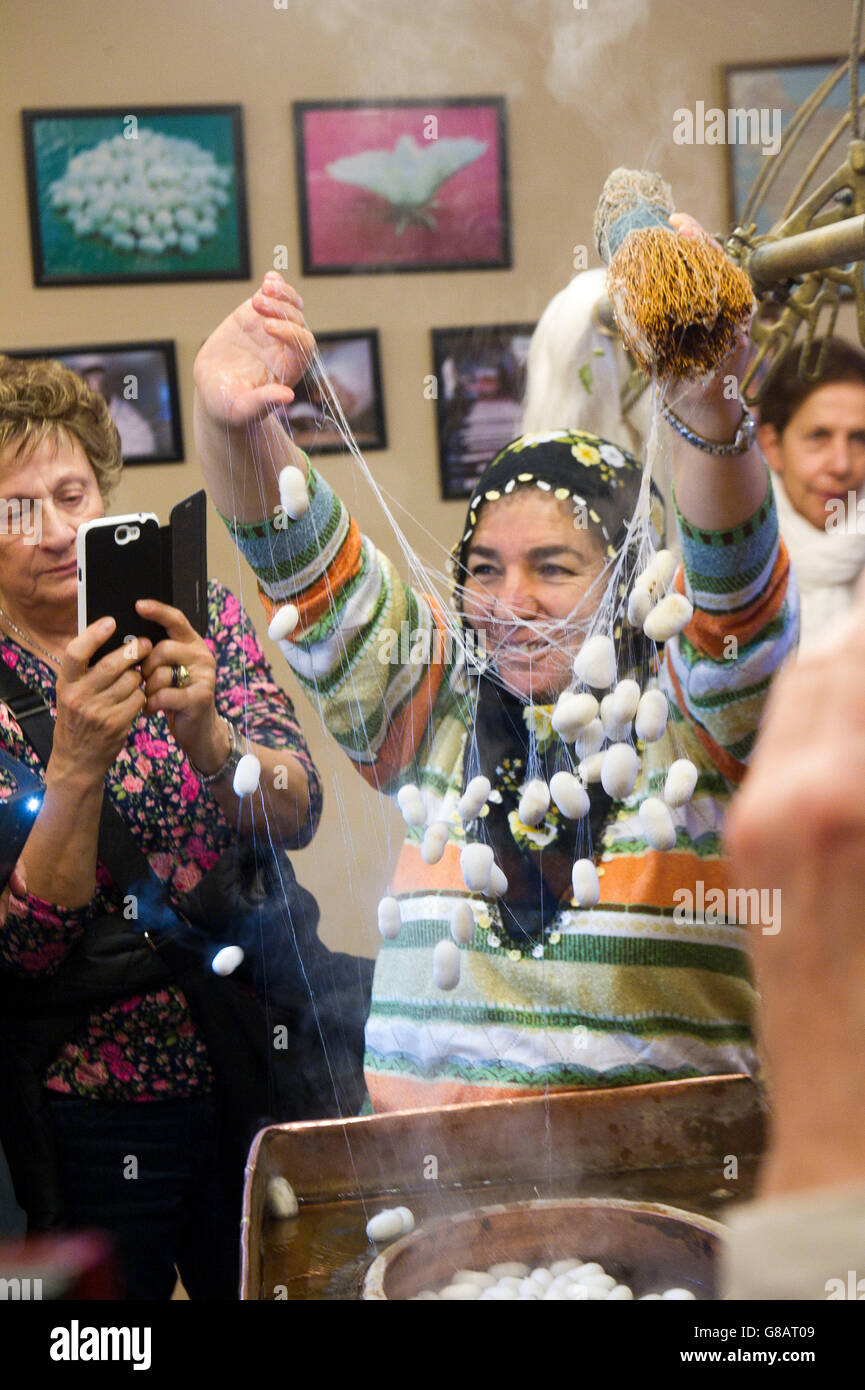 Turkey, In the factory of carpets, silk is obtained raising silkworms