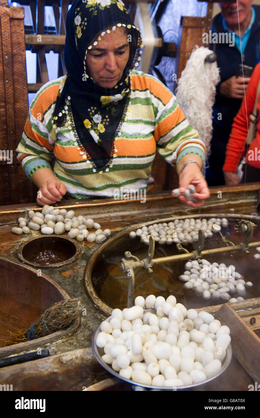Turkey, In the factory of carpets, silk is obtained raising silkworms
