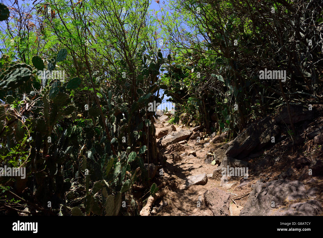 North shore, near Riviere Banane, Rodrigues Stock Photo Alamy