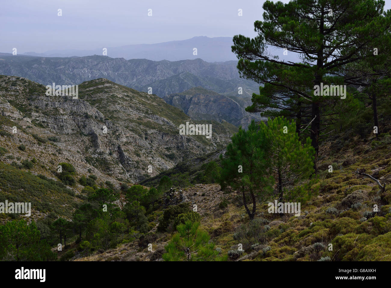 Hiking, Parque Natural de la Sierras Tejeda y Almijara,Andalusia, Spain Stock Photo