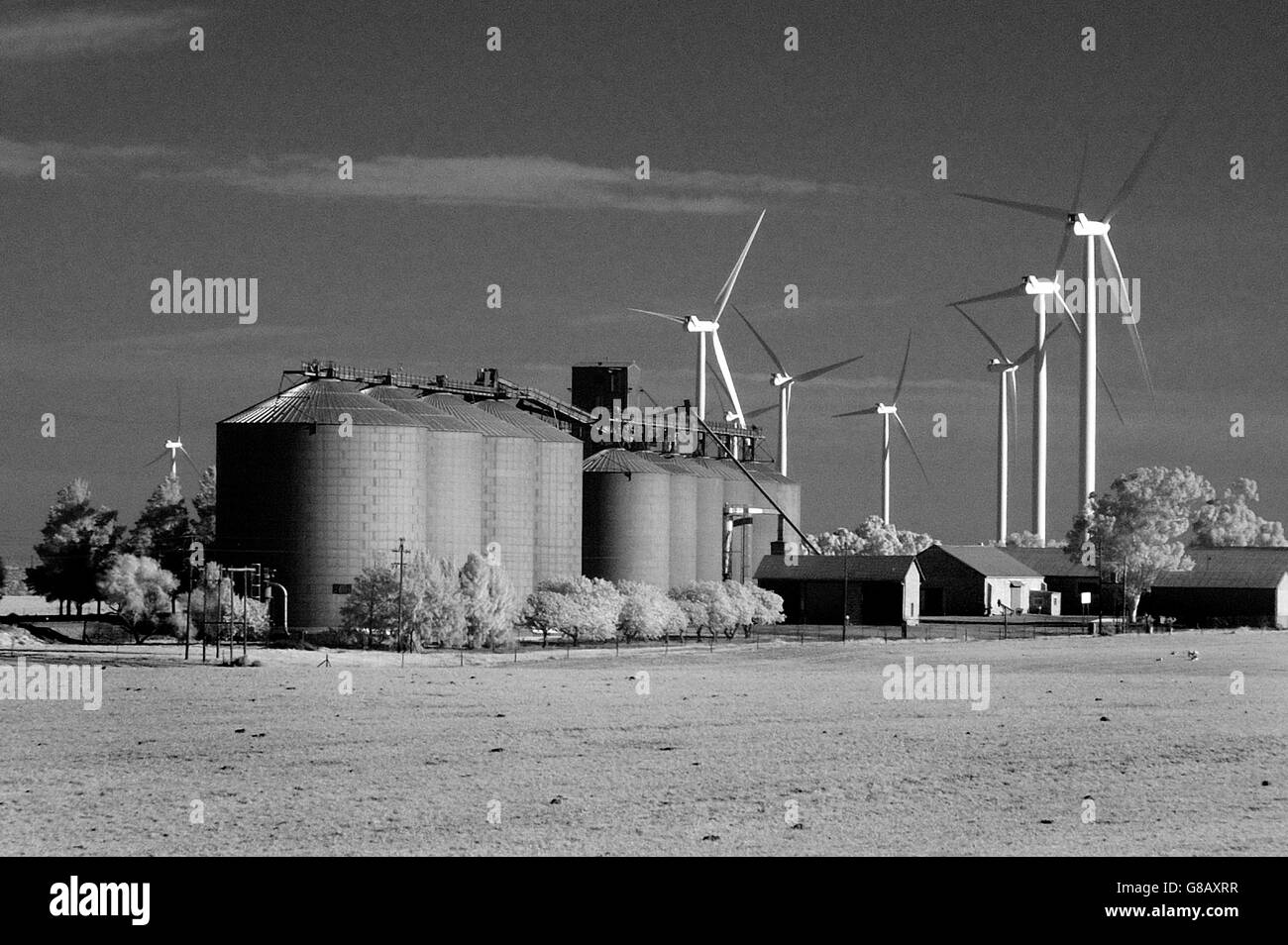 66Mw windfarm, Hopefield, Saldana Municipality, Western Cape, South Africa Stock Photo
