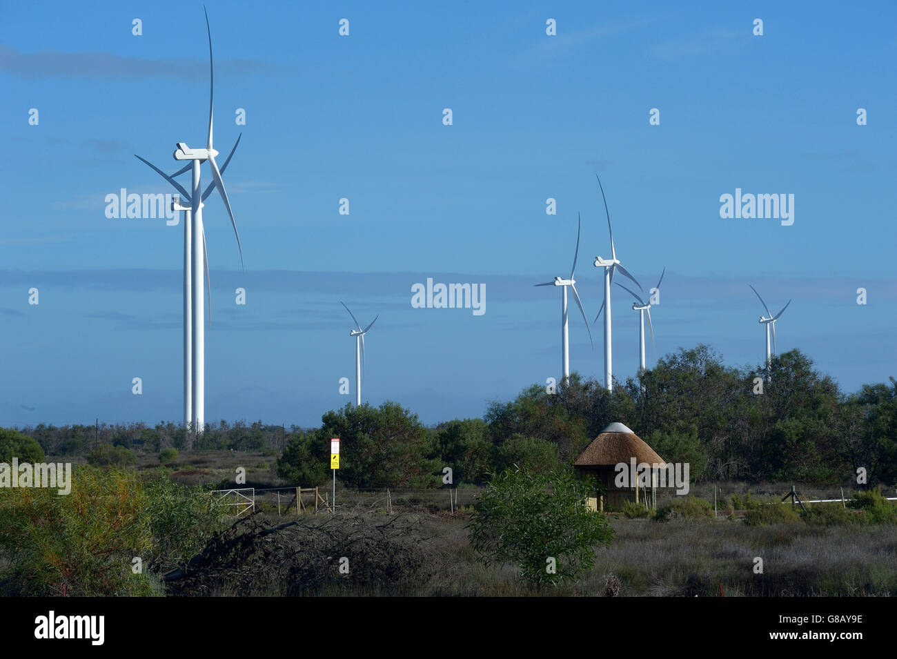 66MW windfarm, Hopefield, Saldana, Western Cape, South Africa Stock Photo