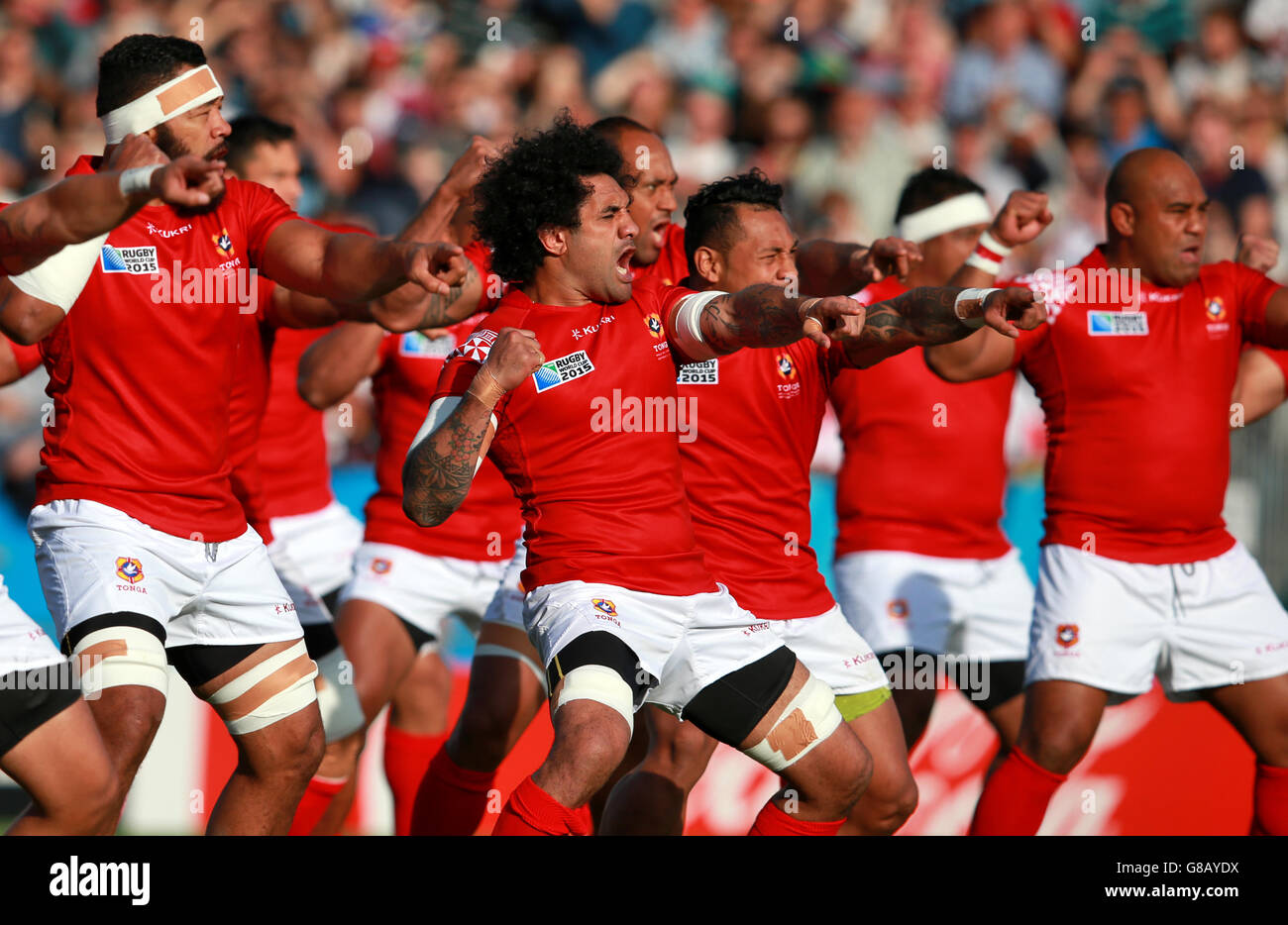 Tonga players perform the Sipi Tau before the Rugby World Cup match at  Sandy Park, Exeter Stock Photo - Alamy