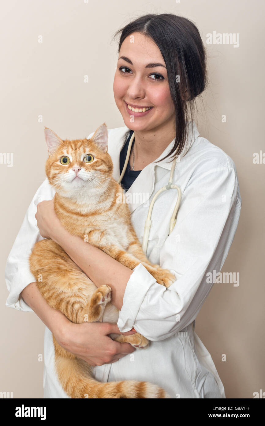 Veterinary Doctor Holding A Big Red Cat Stock Photo Alamy