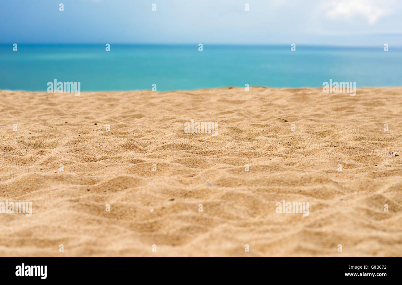 beautiful sand beach Stock Photo