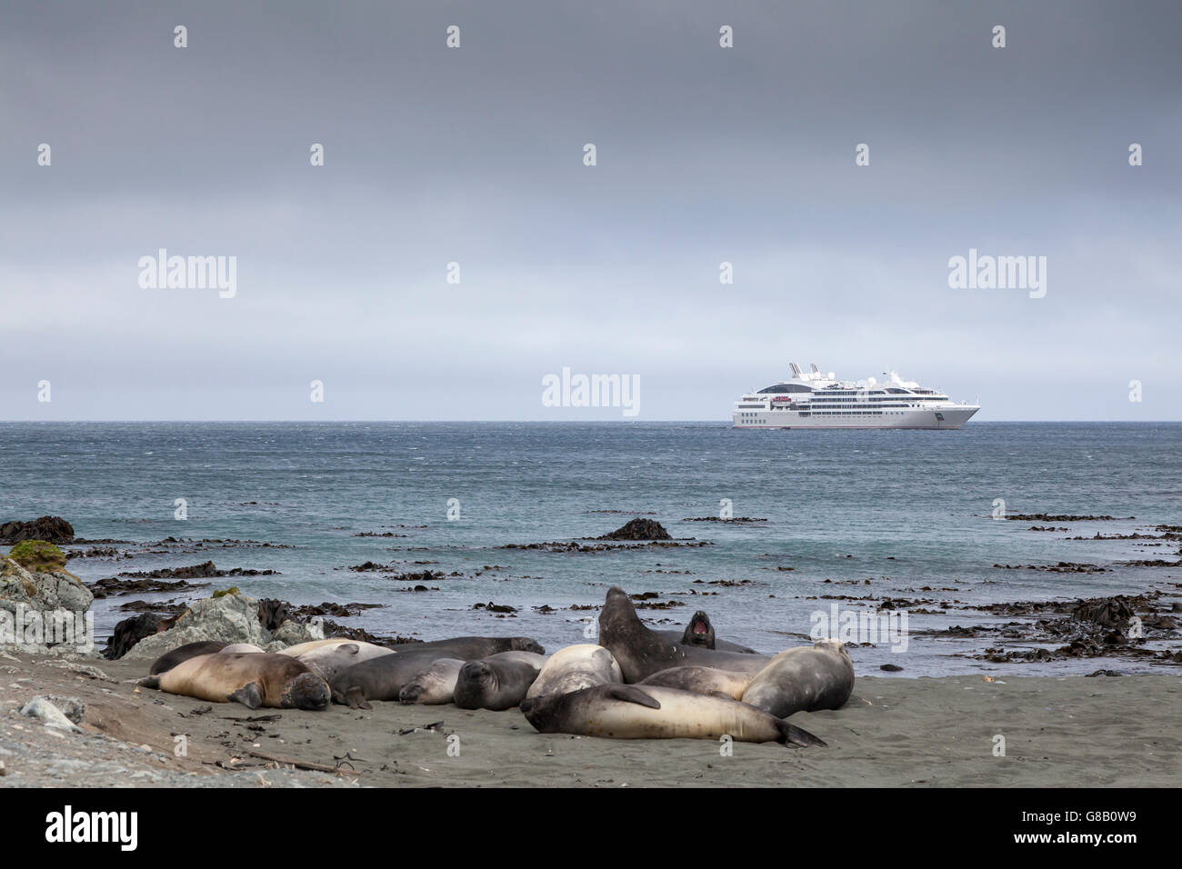 French expedition ship Le Soleal anchored off Macquarie Island, Australian sub-Antarctic Stock Photo