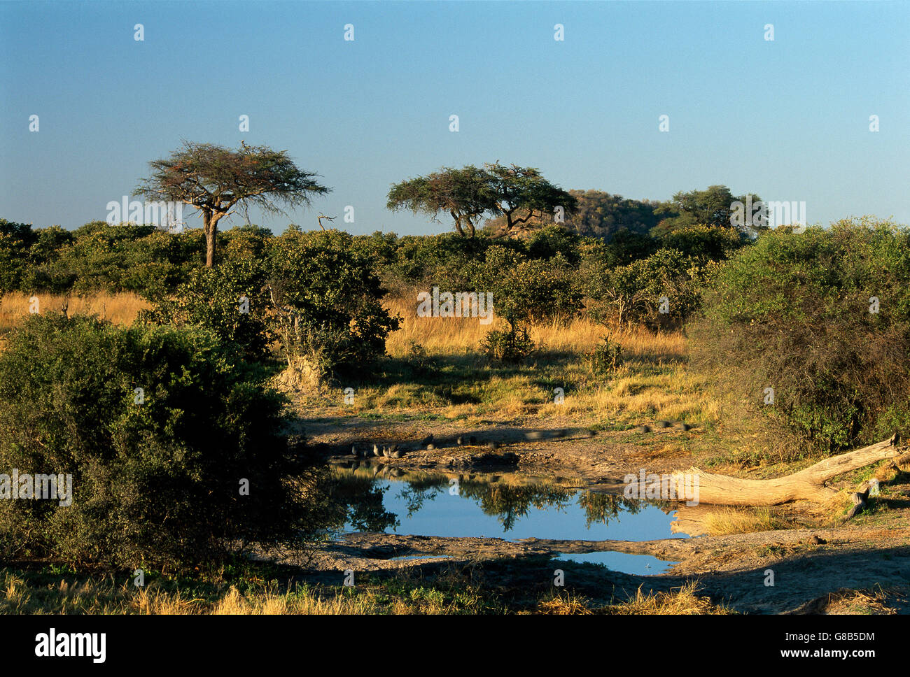 Savuti, Botswana Stock Photo