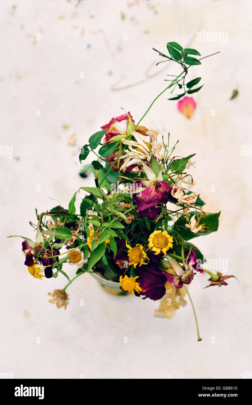 closeup of a bouquet of wilted flowers in a vase on an off-white background Stock Photo