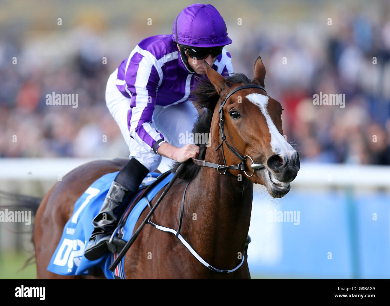 Horse Racing - Dubai Future Champions Festival - Day One - Newmarket Racecourse. Minding ridden by Ryan Moore wins The Dubai Filles Mile during day one of the Dubai Future Champions Festival at Newmarket Racecourse. Stock Photo