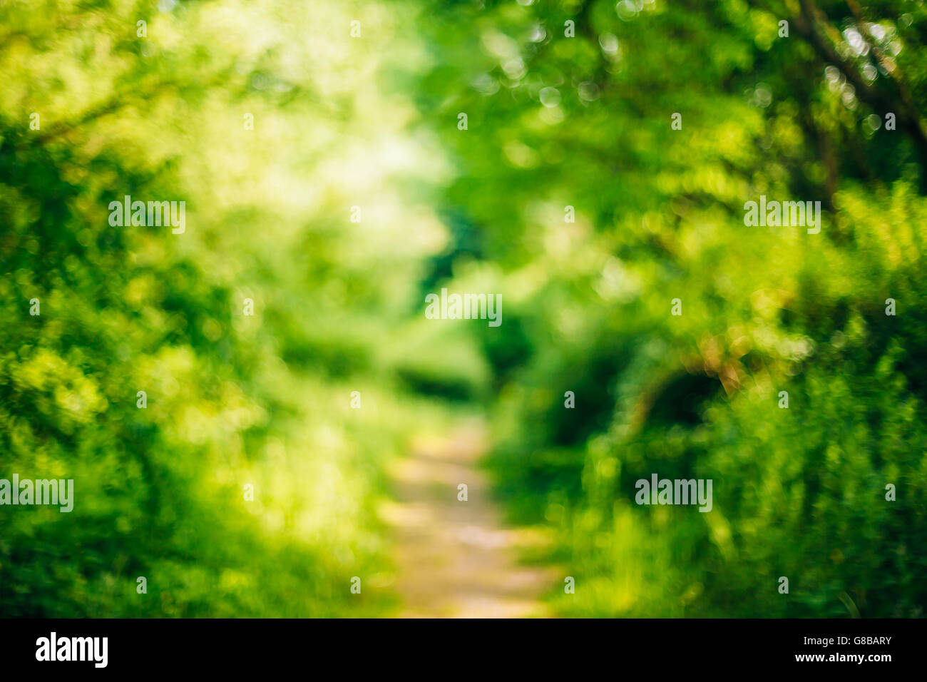 Blurred abstract bokeh natural background of Walkway Path Lane in Summer  Park Stock Photo - Alamy