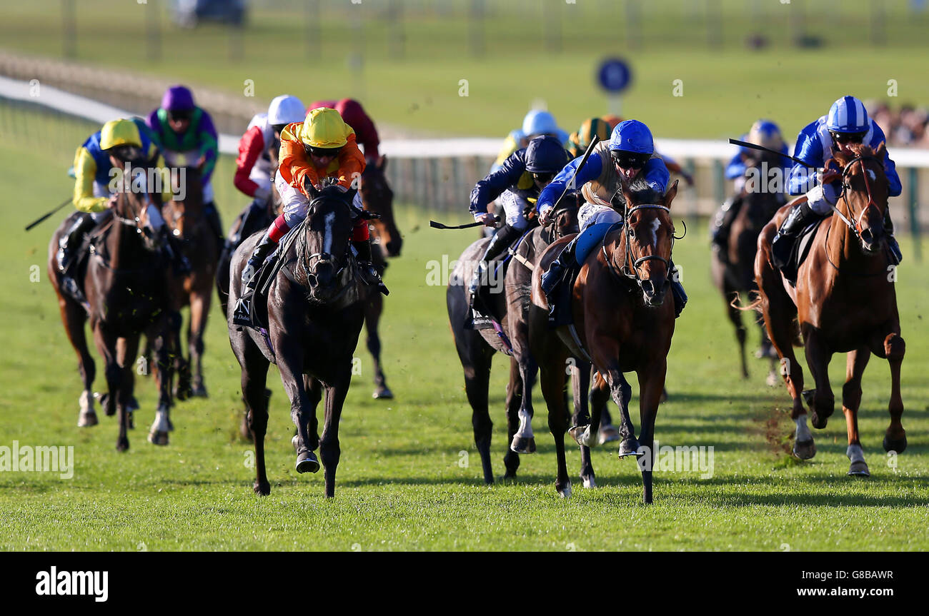 Horse Racing - Dubai Future Champions Festival - Day One - Newmarket Racecourse Stock Photo