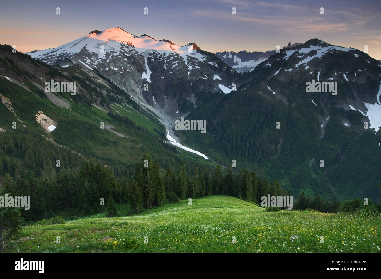 Ruth Mountain seen from wildflower meadows of Hannegan Peak, Mount Baker Wilderness North