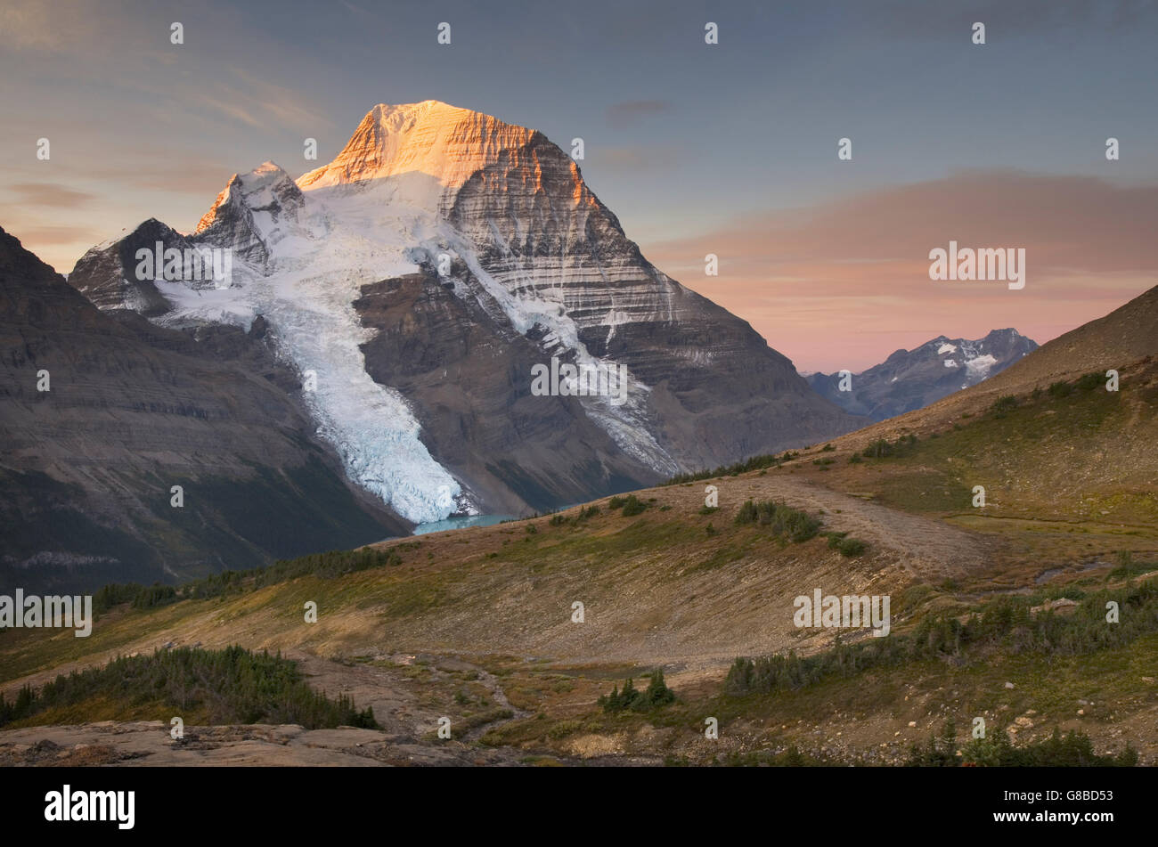 Sunrise over Mount Robson, highest mountain in the Canadian Rockies, elevation 3,954 m (12,972 ft), seen from Mumm Basin Stock Photo