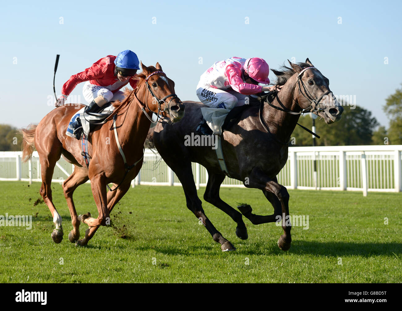 Optima Petamus (right) ridden by Jamie Spencer wins the MPM Flooring Ltd Maiden Stakes from Noblest (left) ridden by Joe Fanning at Windsor Racecourse. Stock Photo