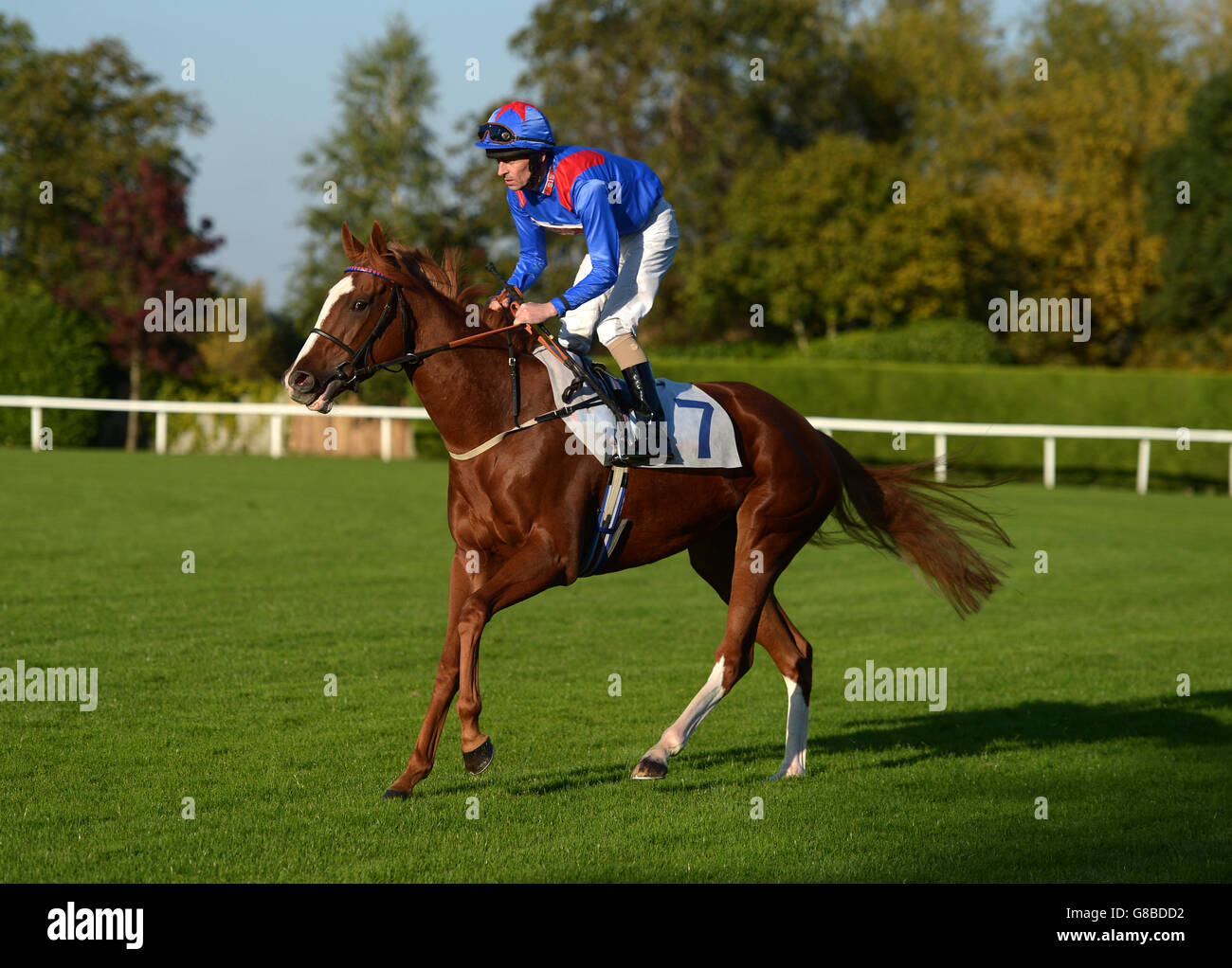 Windy City ridden by Ted Durcan goes to post at Windsor Racecourse. Stock Photo